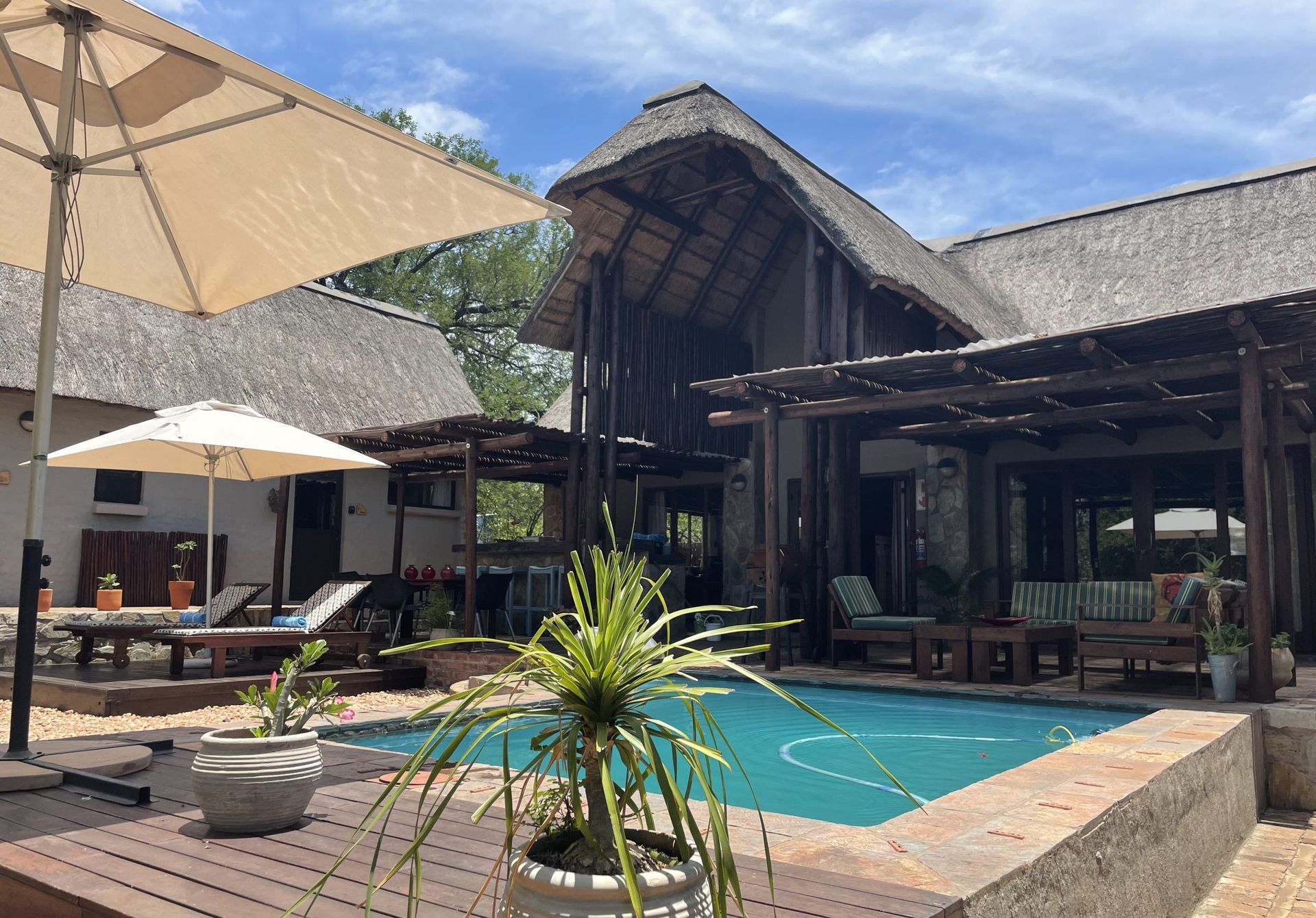 A luxurious lodge with a thatch roof, pool, patio, and outdoor furniture, sunny day.