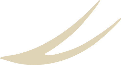 Beige swooping stylized emblem, resembling a bird in flight.