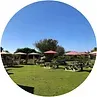 Green lawn with gazebos and trees under a clear, blue sky.