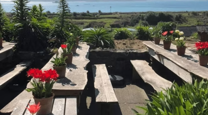 Outdoor seating area with wooden tables, benches, and potted red tulips. Scenic view in the background.