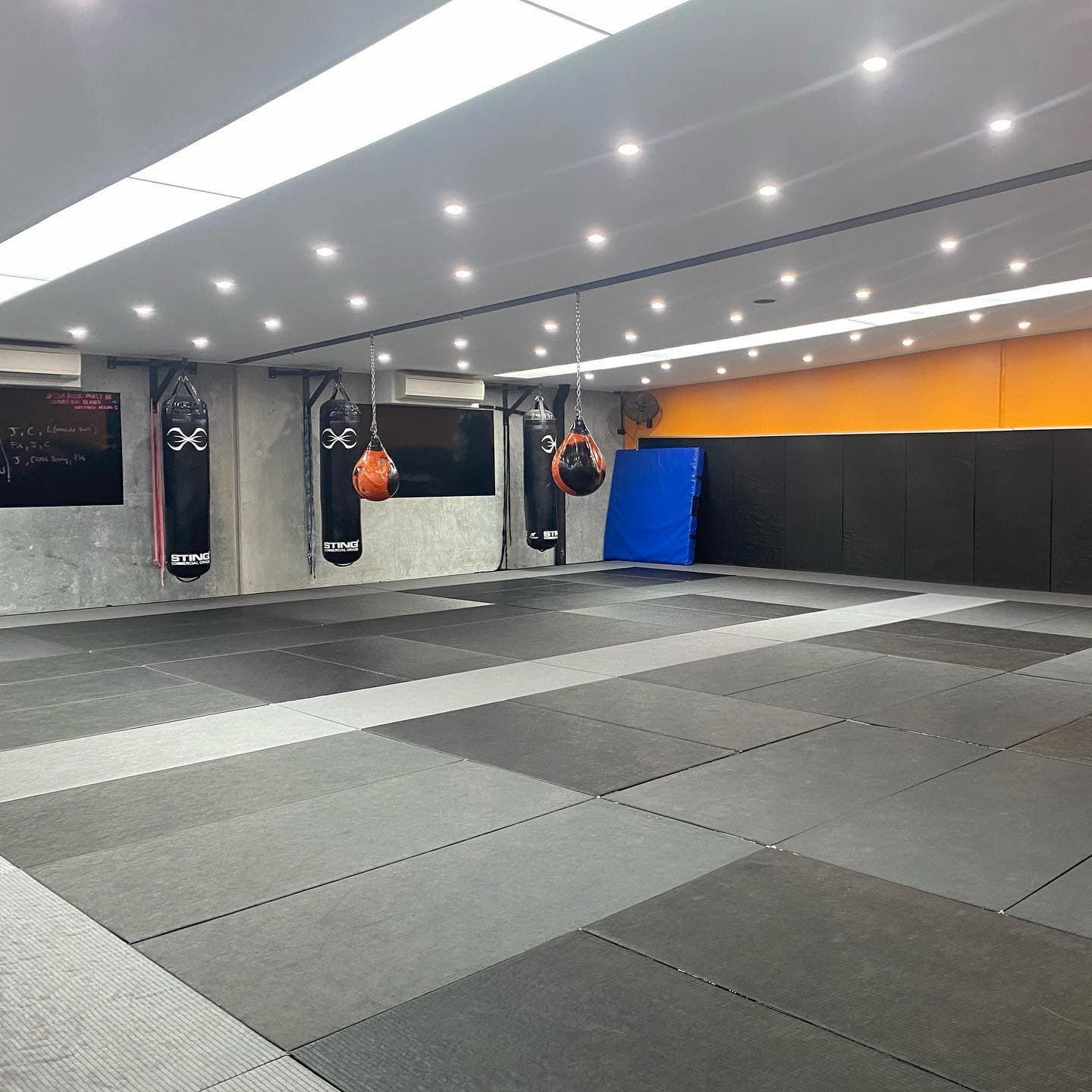 Martial Arts Gym Interior With Punching Bags, Mats, and Lighting — Hspark Electrical PTY LTD in Camden, NSW