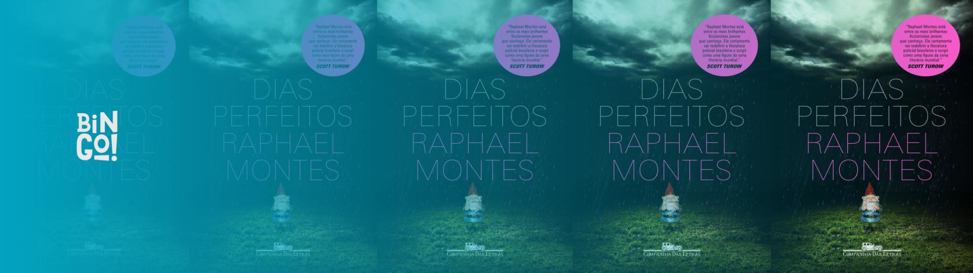 resenha-dias-perfeitos-de-raphael-montes