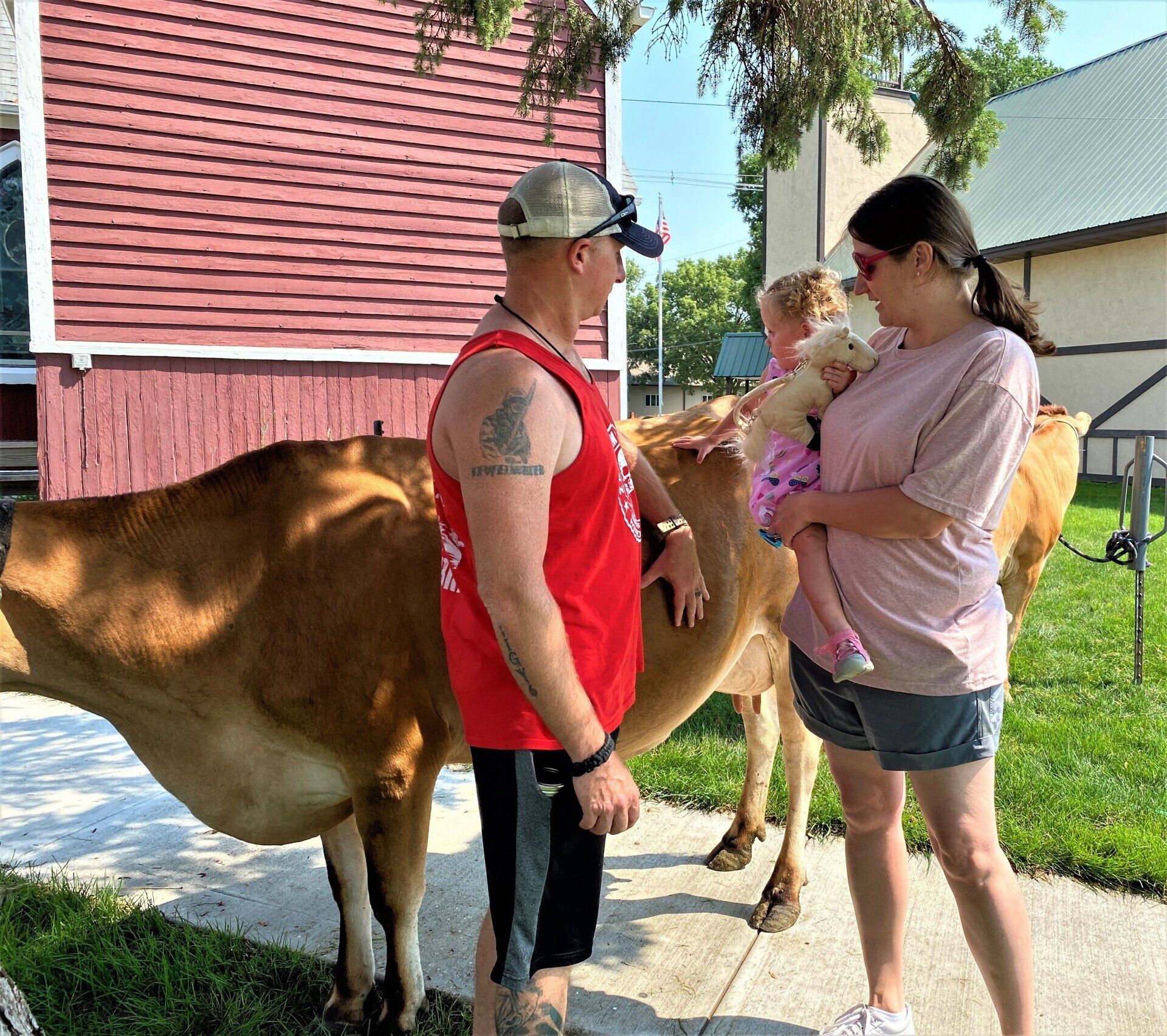 A family interacting with a brown cow outdoors. Man in red shirt touches cow, woman holds child, another child watches.