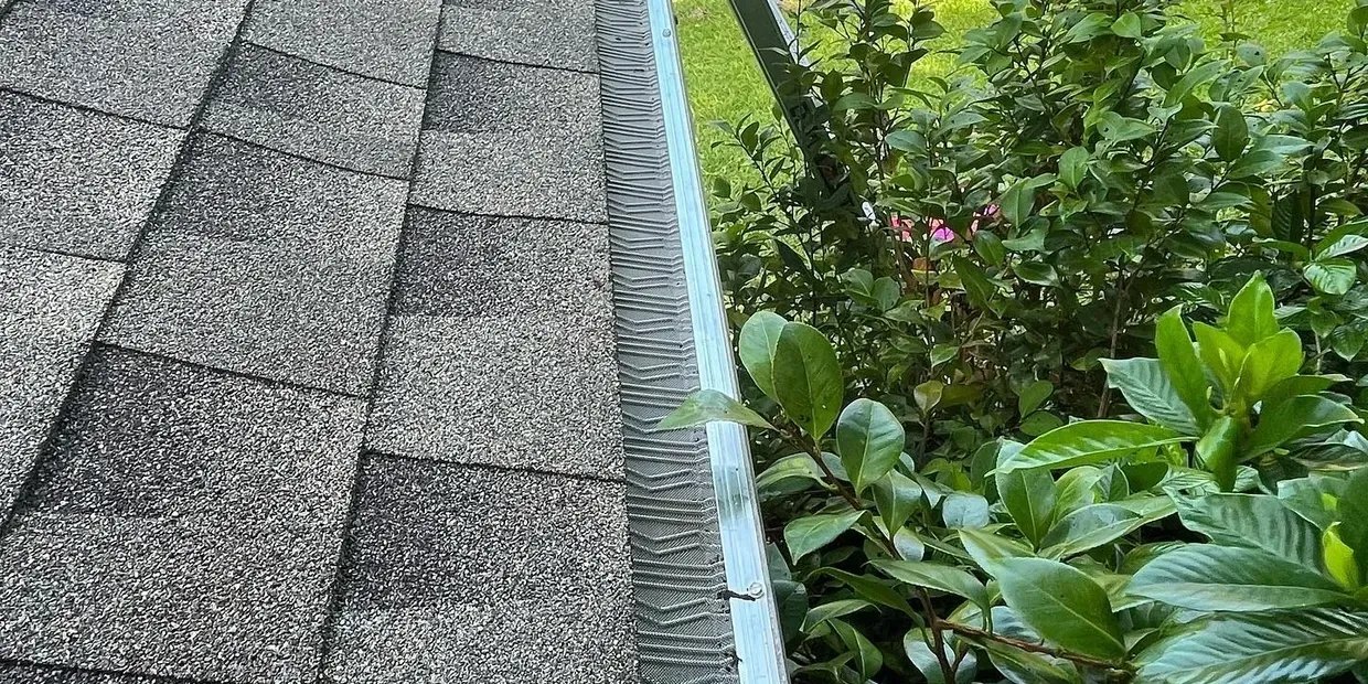 A roof with shingles and a gutter next to a bush.