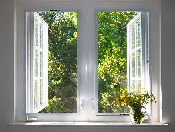 An open window with a vase of flowers on the window sill