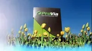 A provia sign is in the middle of a field of flowers.