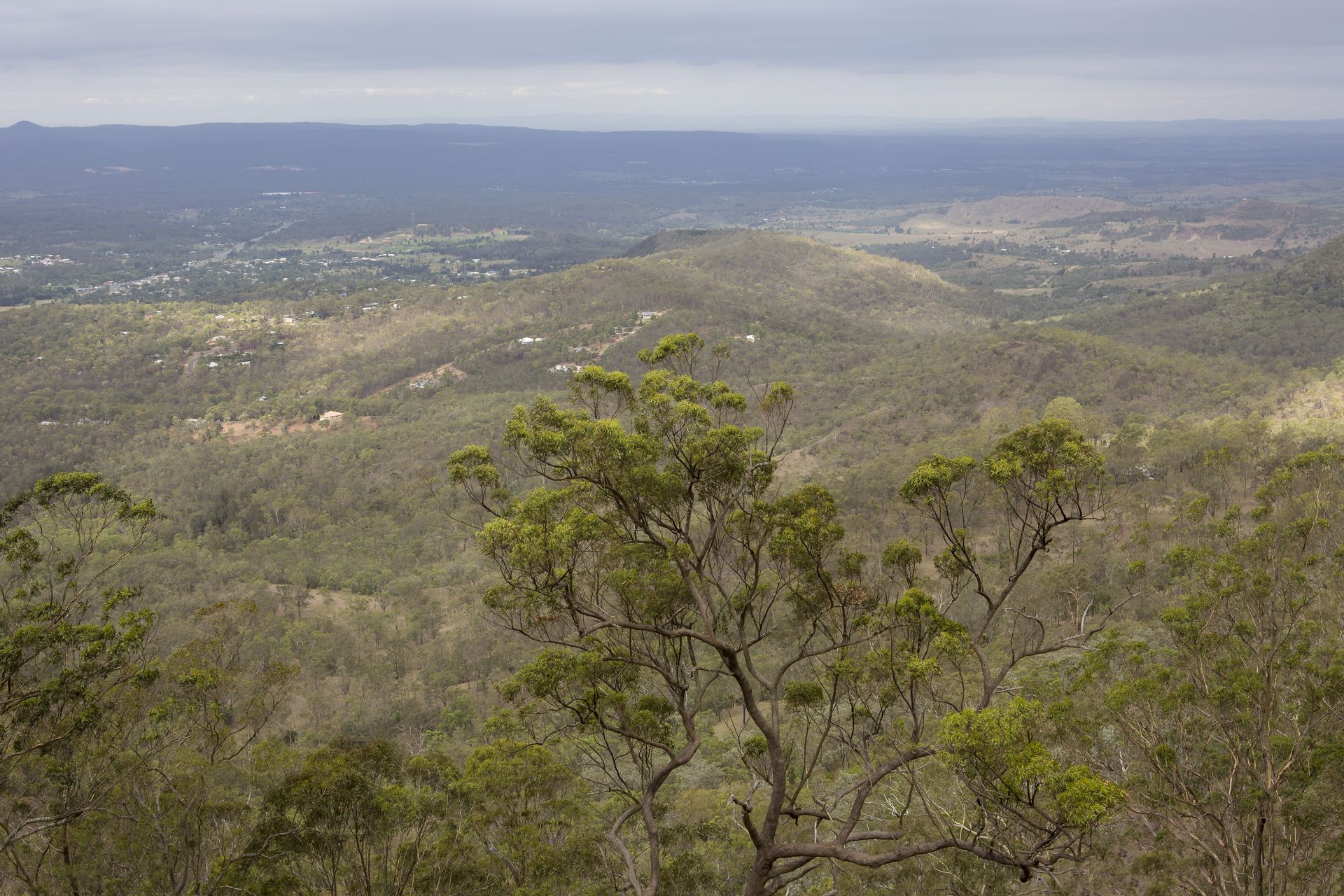 Wide View of a Dry, Hilly Landscape With Scattered Trees Under a Hazy Sky — Accredited Training in Lockyer Valley, QLD