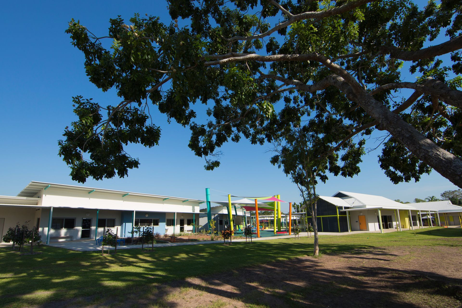 A tree in front of a building with a blue sky in the background