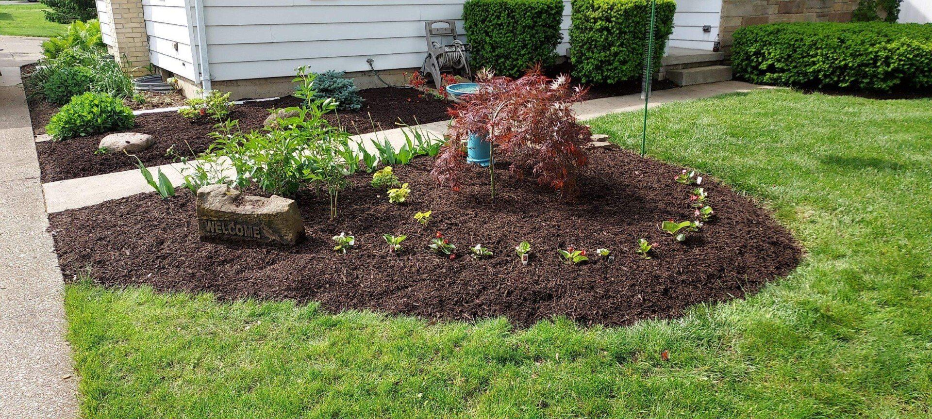 Flowerbed with mulch and various plants, bordered by green grass and a sidewalk, in front of a white house.