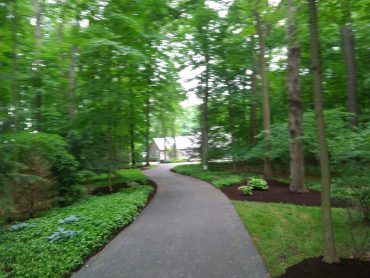 A winding paved driveway through a wooded area leads to a house in the distance.