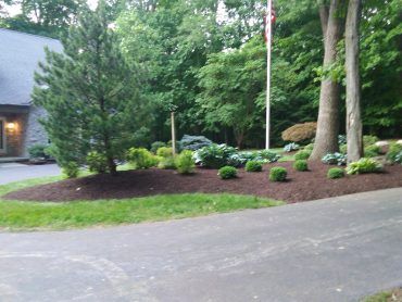 Landscaped yard with trees, shrubs, and mulch bed. A driveway is in the foreground.