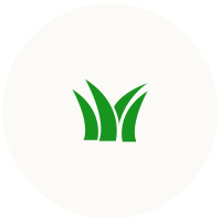 Green grass icon on white background.