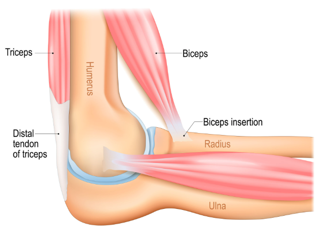Elbow Problems