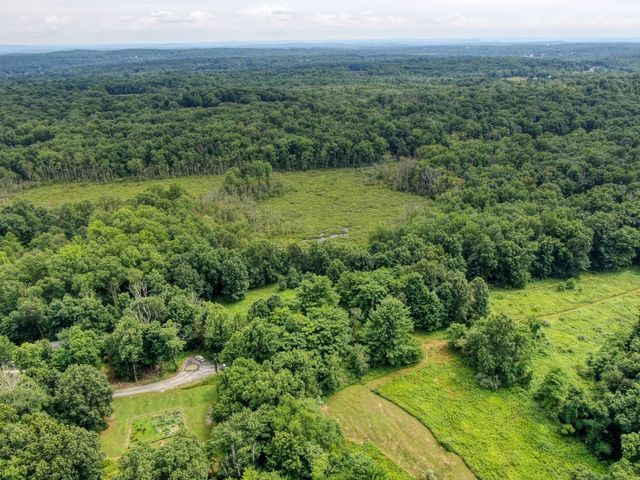 Lush green landscape photography capturing an aerial view of a vibrant forest and field.