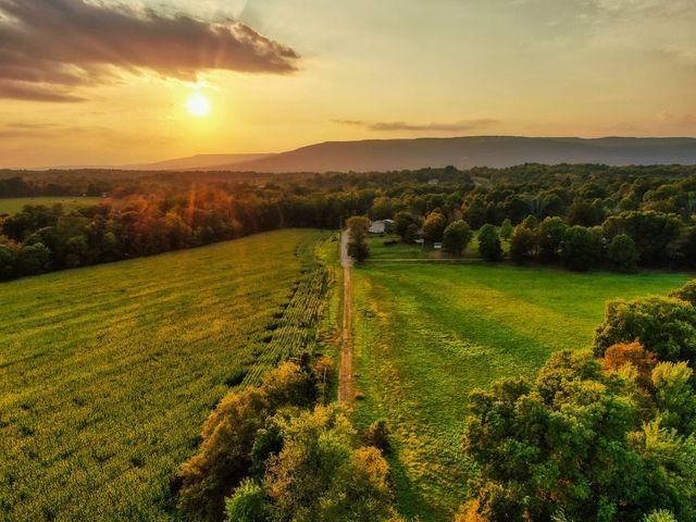 Aerial field photography showing a sunset aerial view of a field with trees and a road.