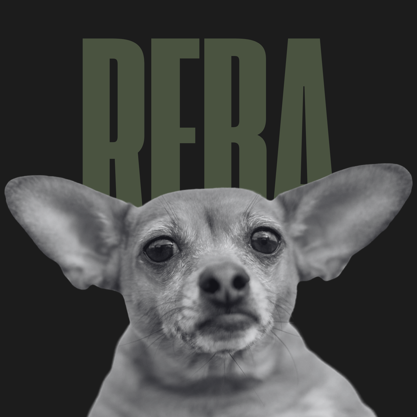 Reba Davis, yoga studio pup at MORTAL Yoga + Wellness.
