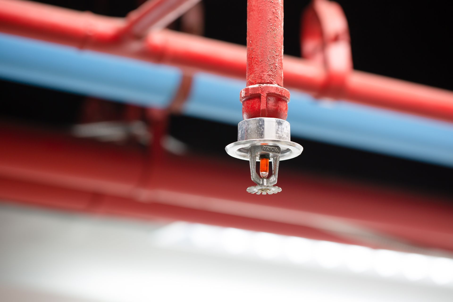 Fire sprinkler head on red ceiling pipe, commercial building fire suppression system.