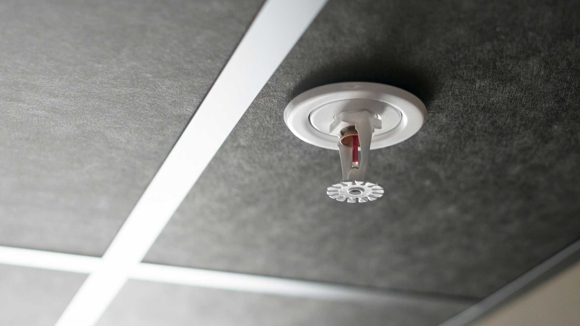 Ceiling-mounted fire sprinkler ready to activate in case of fire emergency. Ceiling-mounted fire sprinkler ready to activate in case of fire emergency.