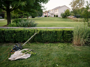 Gardener trimming hedges in a suburban yard with a house in the background