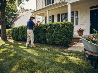 Man trimming hedge beside a white house, with a wheelbarrow and flower bed in the yard