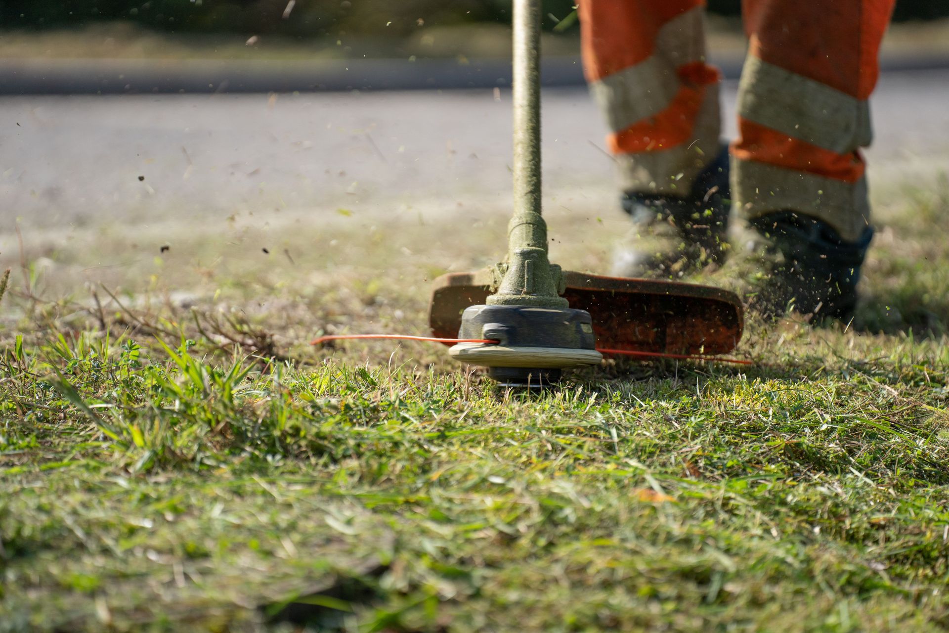 Worker using a string trimmer to cut grass near a sidewalk, wearing orange safety gear.