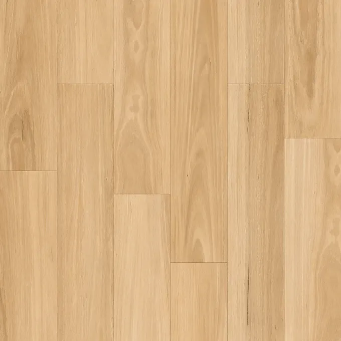 Light-Colored Hardwood Flooring With Vertical Wood Grain Patterns — BLB Flooring Solutions in Central Coast, NSW