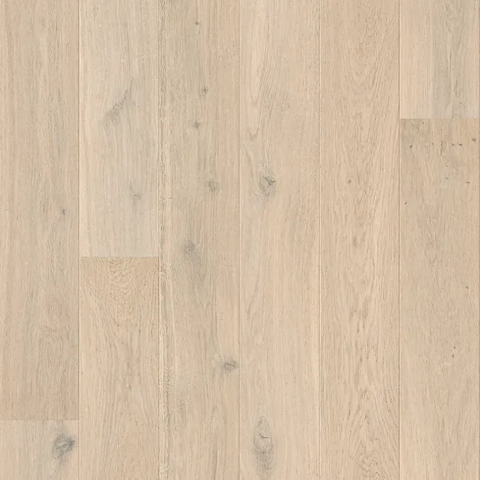 Light-Colored Wood Flooring With Vertical Planks — BLB Flooring Solutions in Central Coast, NSW