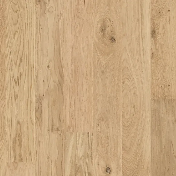Light Oak Wood Flooring With Natural Grain Patterns — BLB Flooring Solutions in Central Coast, NSW