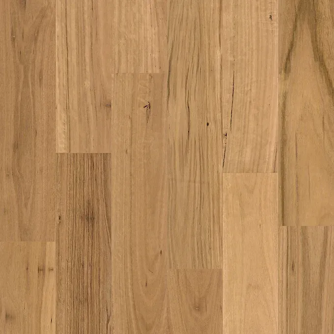Wooden Floorboards in Varying Shades of Light Brown — BLB Flooring Solutions in Central Coast, NSW