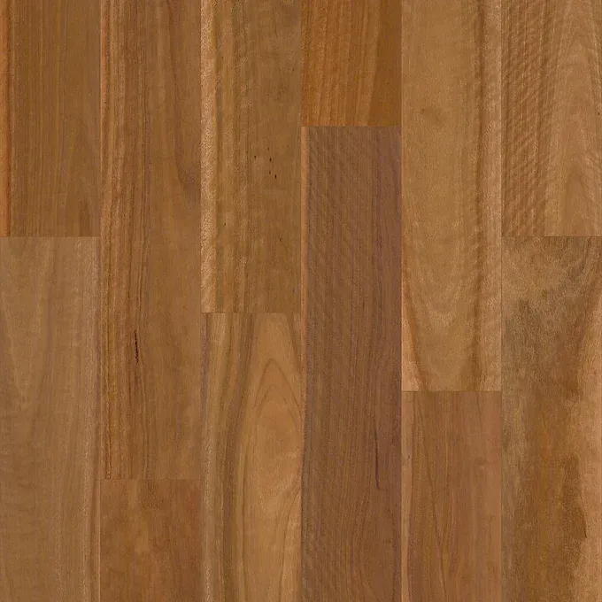 Wooden floorboards with a warm, medium brown color and a natural grain pattern — BLB Flooring Solutions in Central Coast, NSW