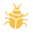 bed bugs