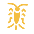 silverfish