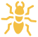 termites