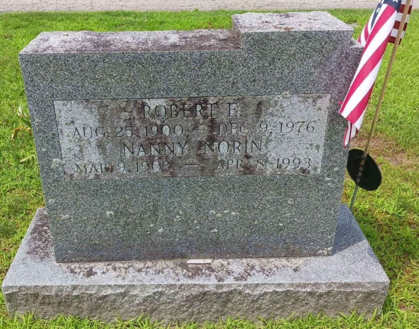 back of Jones family gravestones with stains and lichen