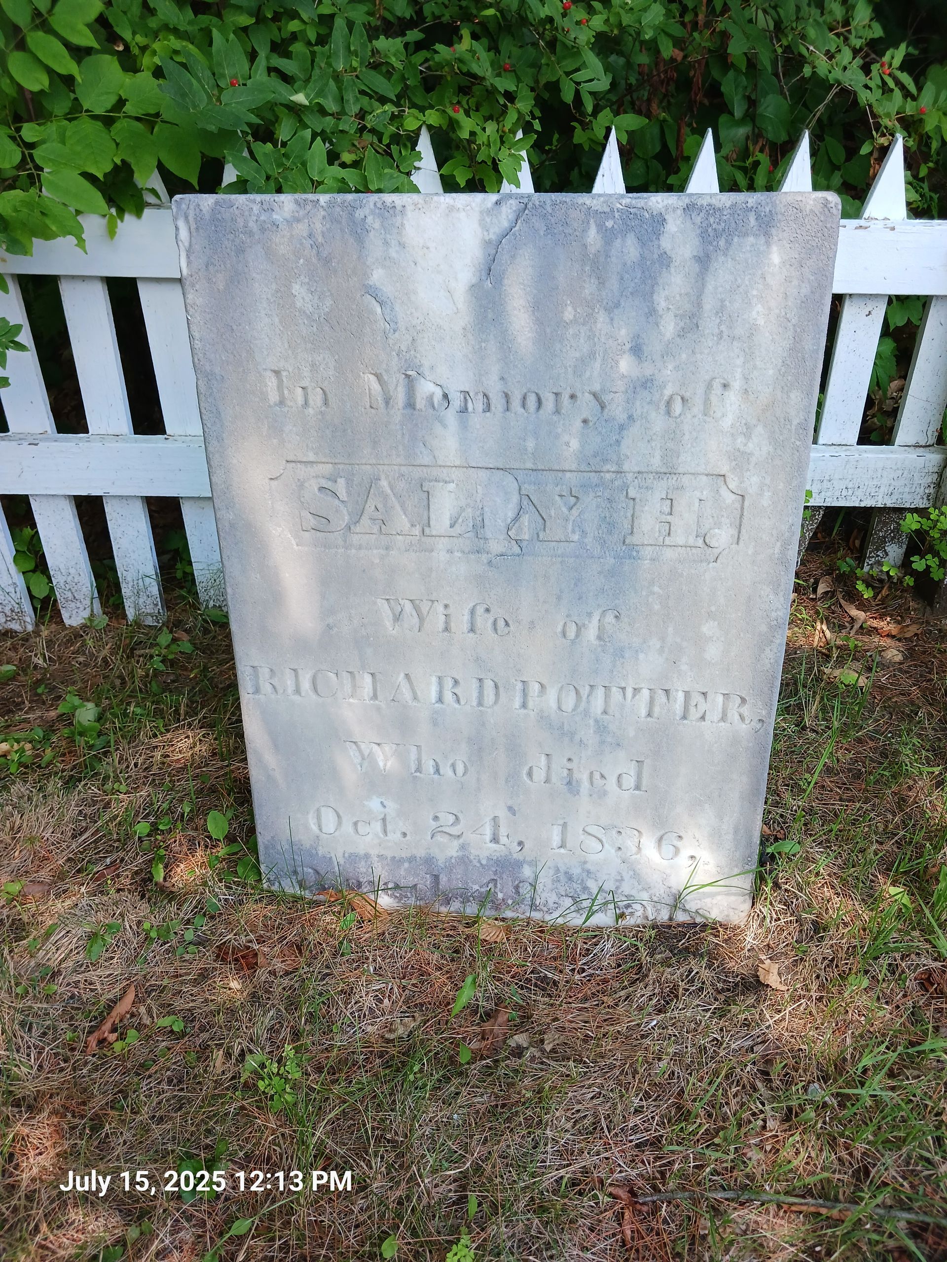 Sally Potter gravestone 1 month after cleaning