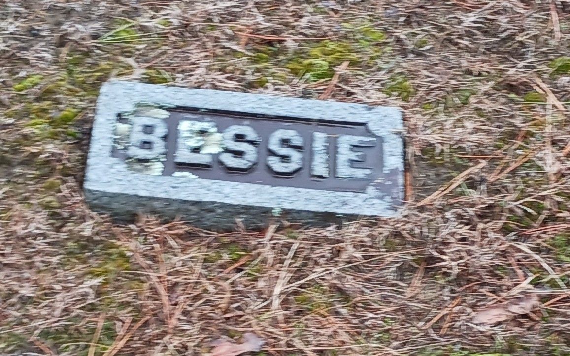 Before photo of Proctor family footstones