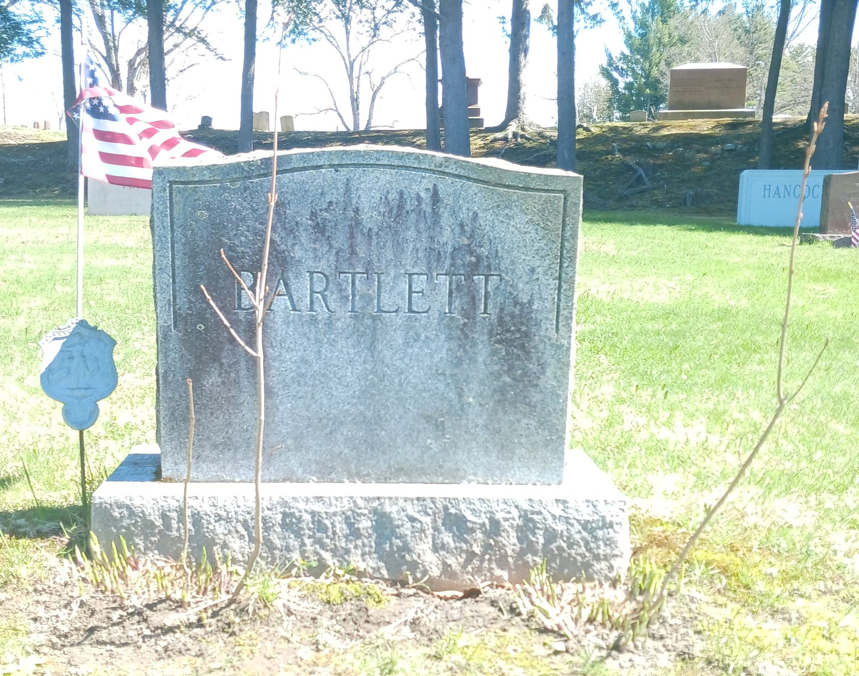 Bartlett headstone stained & lichen covered