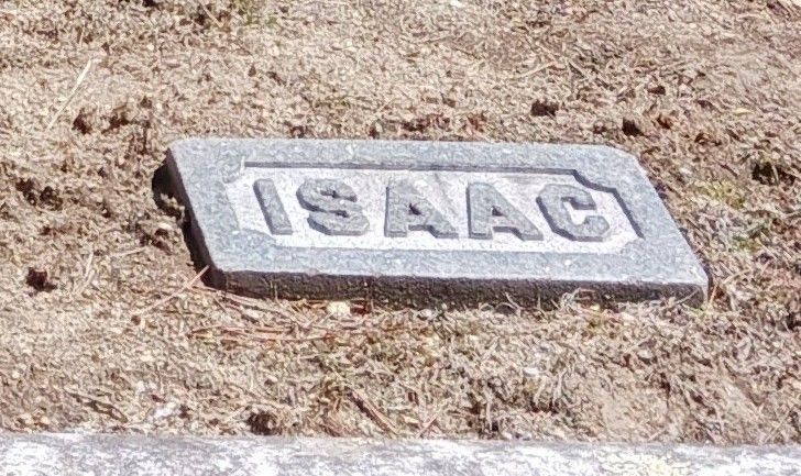 Cleaned Proctor family footstone