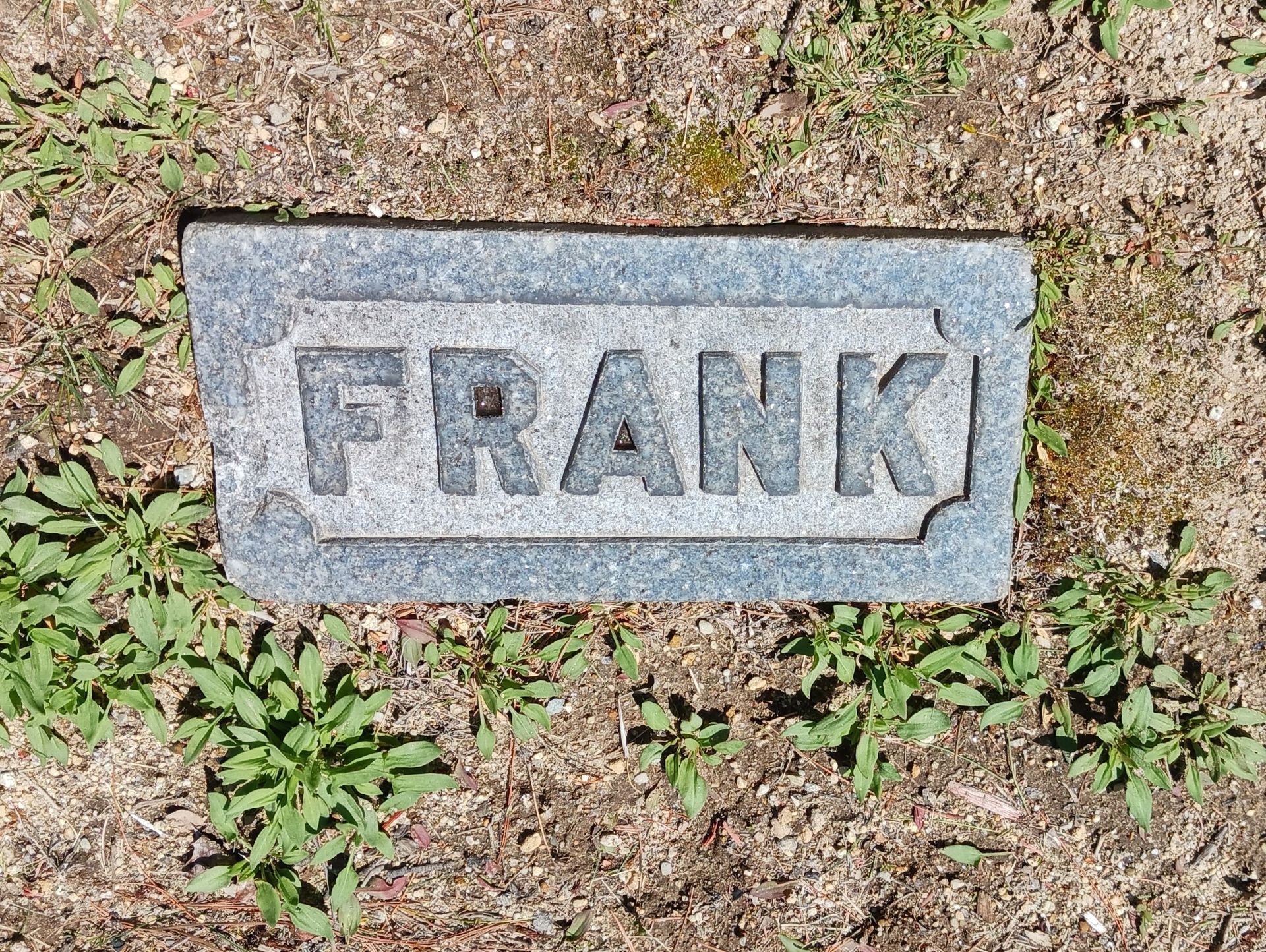 Cleaned Proctor family footstone