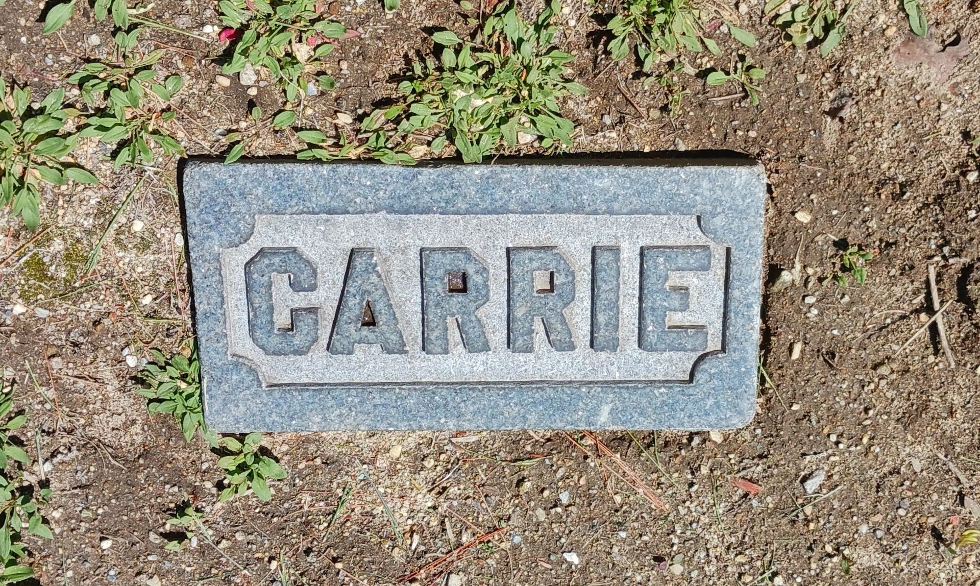 Cleaned Proctor family footstone