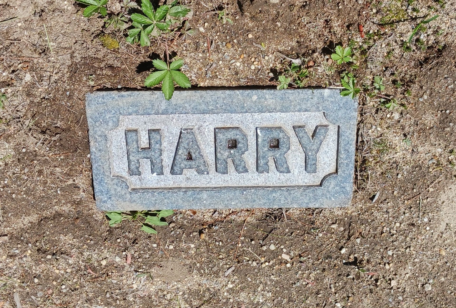 Cleaned Proctor family footstone