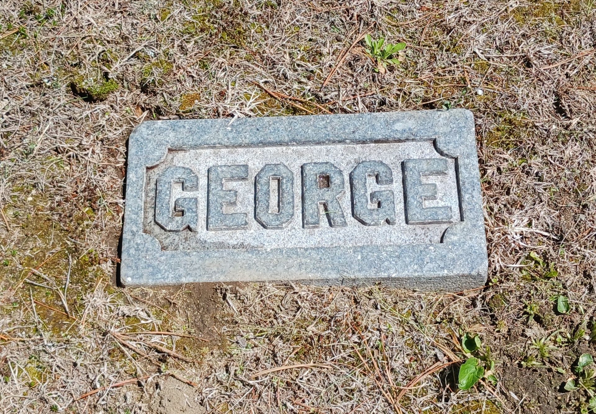 Cleaned Proctor family footstone