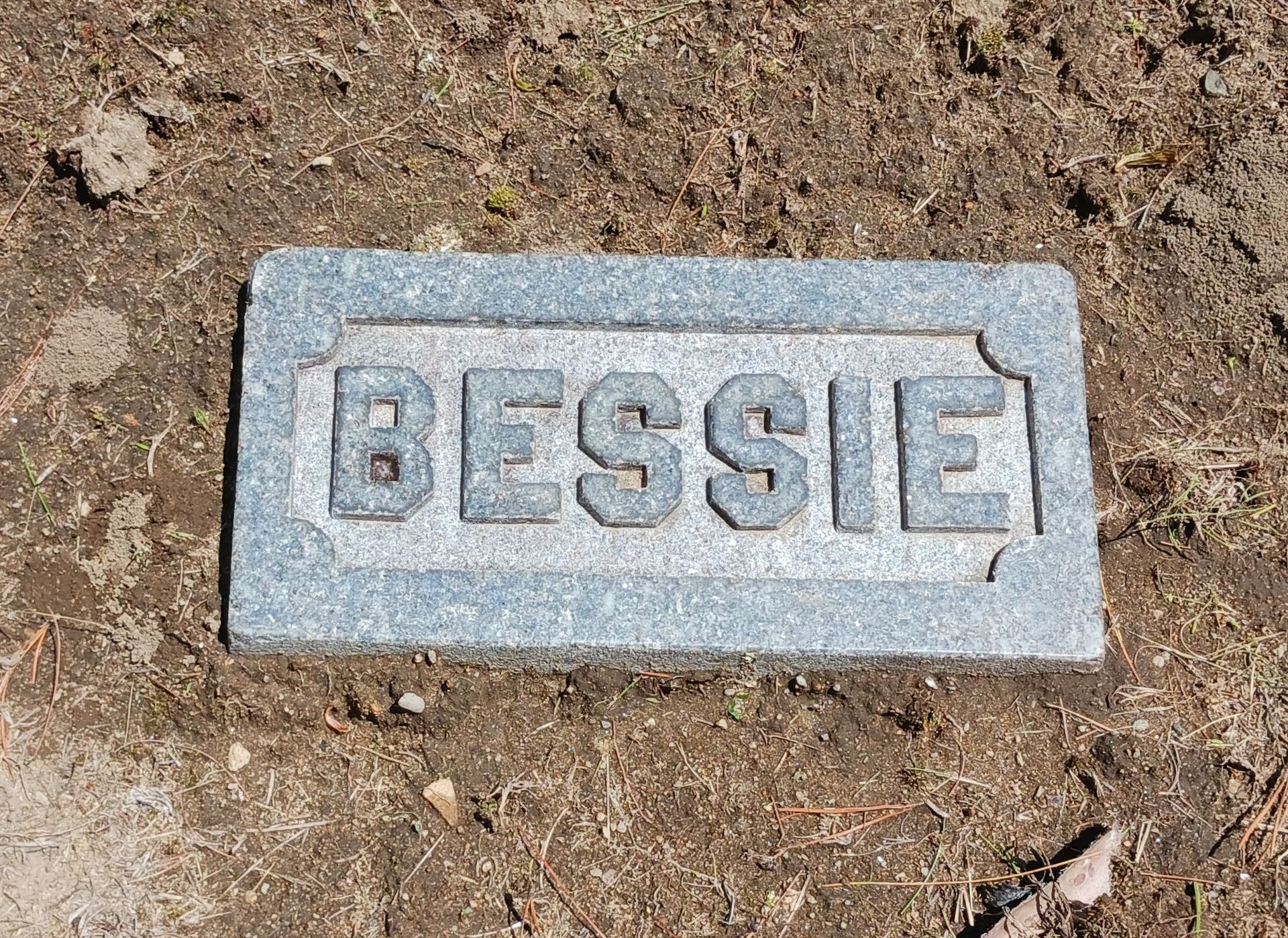 Cleaned Proctor family footstone