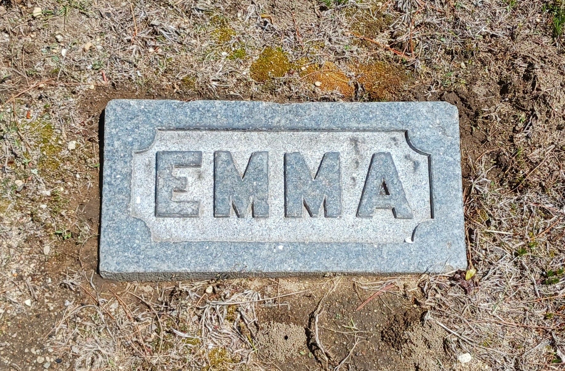 Cleaned Proctor family footstone