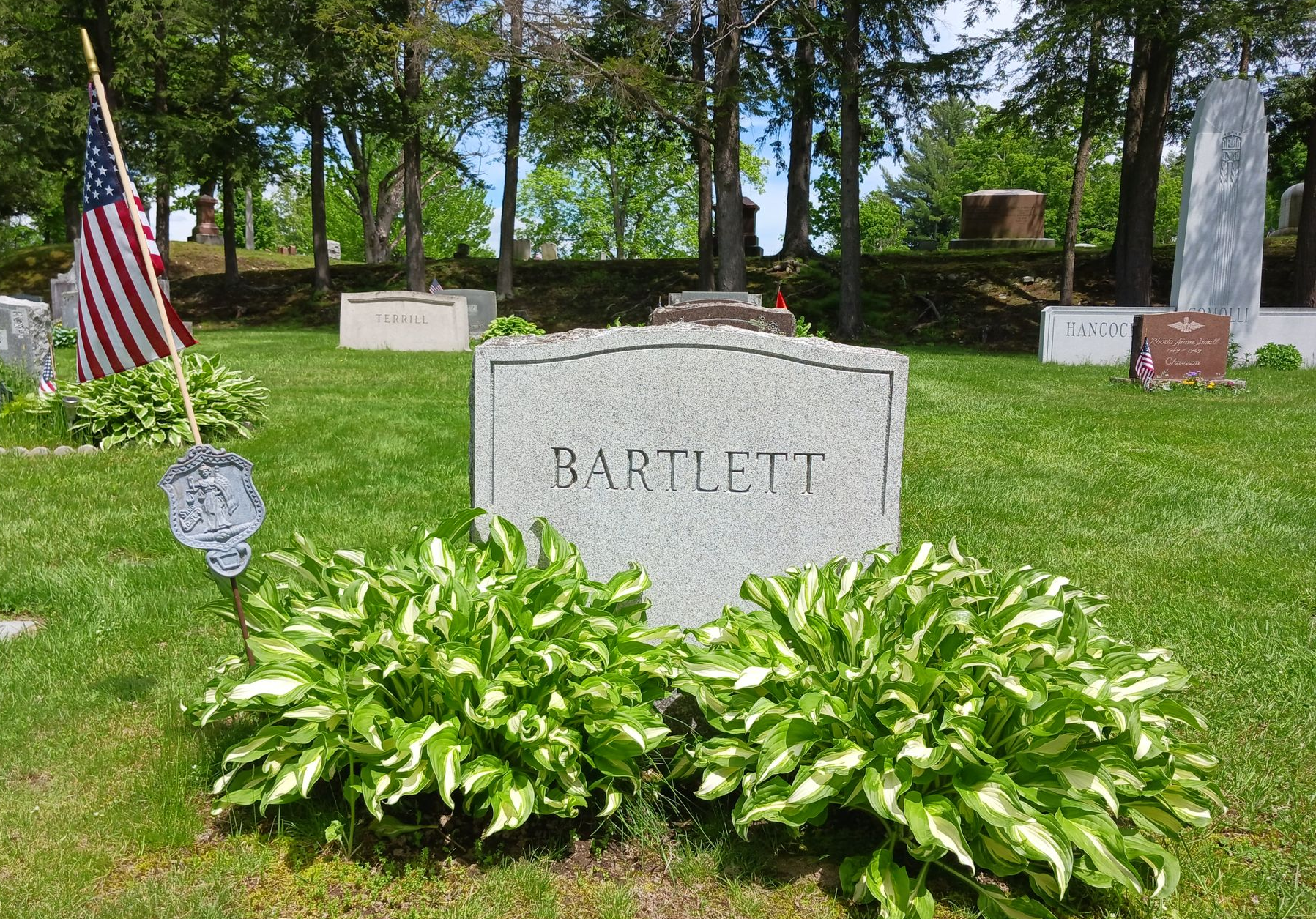 Stained and lichen covered headstone 