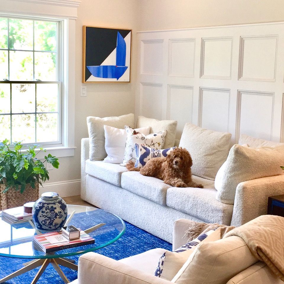 A dog is sitting on a couch in a living room.