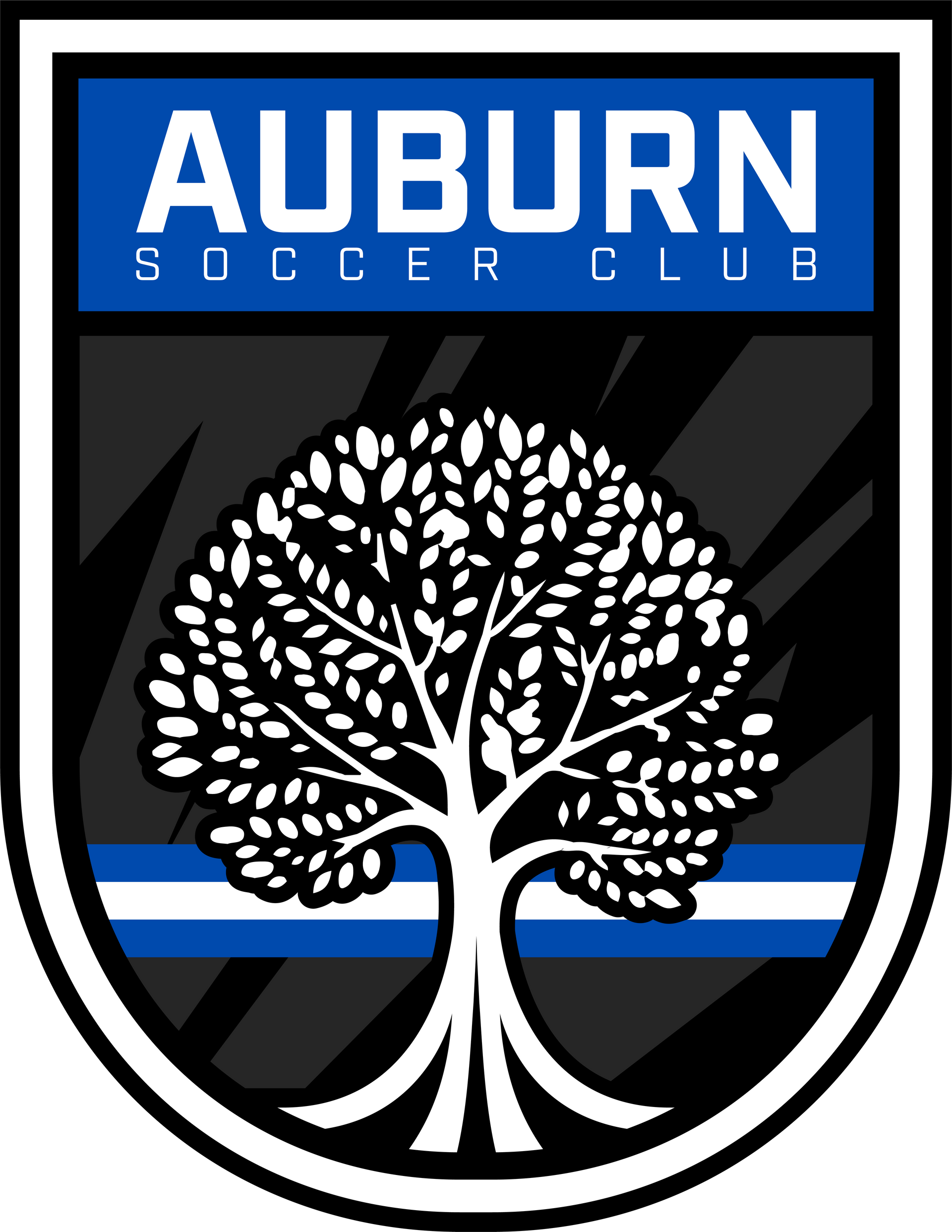Logo for Auburn Soccer Club
