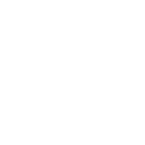 Logo for Capelli Sport