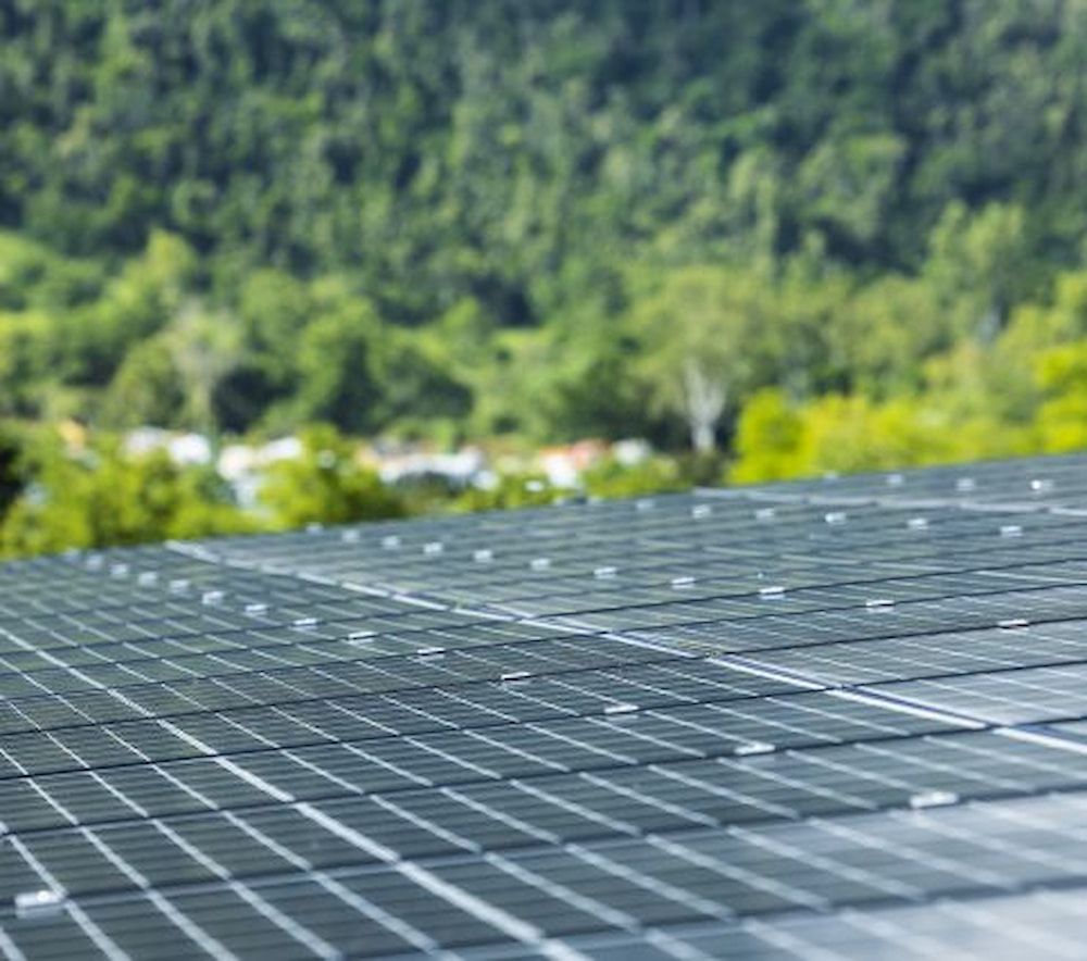 A Row Of Solar Panels On A Roof With Trees In The Background — Solar Power Whitsunday In Midge Point, QLD