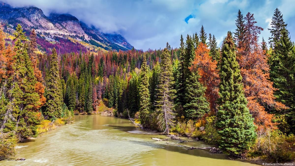 River flows through forest with colorful autumn trees, mountains in background.